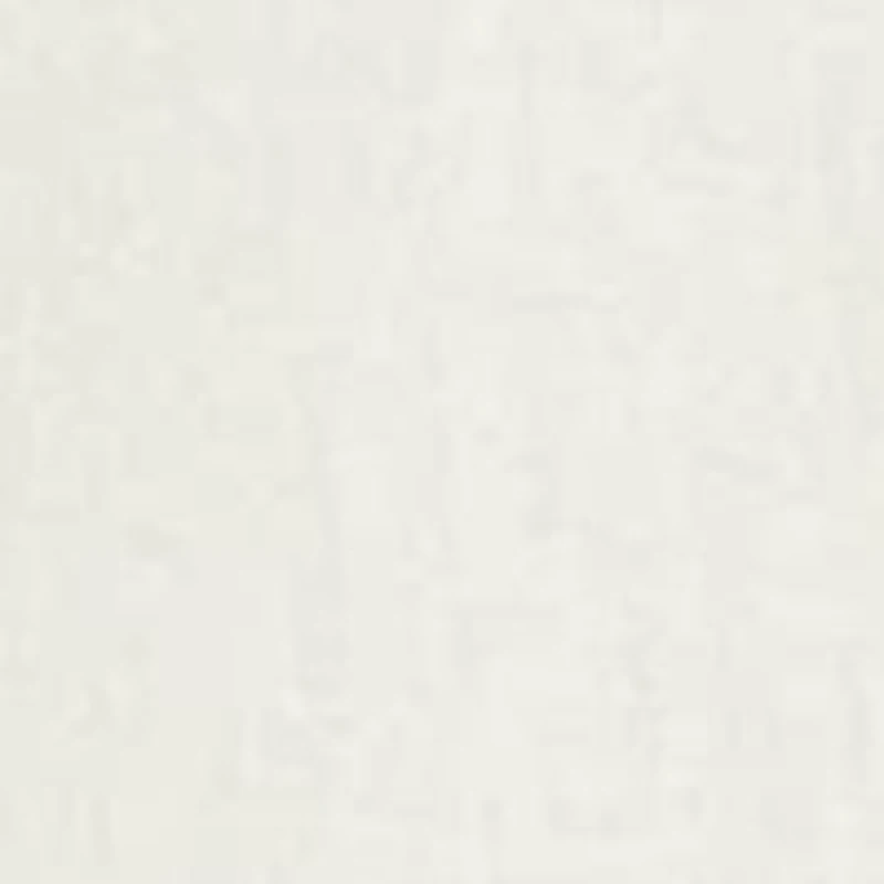 Issey Lace Collared Blouse