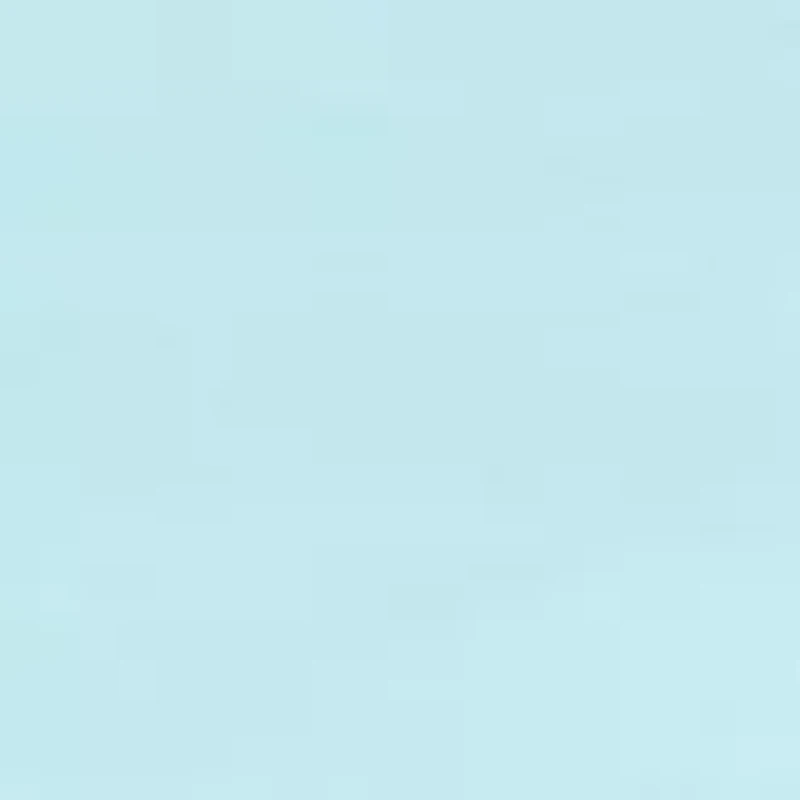 Women's Short Sleeve Essential T-Shirt