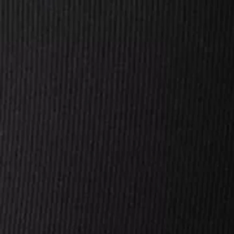 Women's Long Sleeve Crew Neck Solid T-Shirt