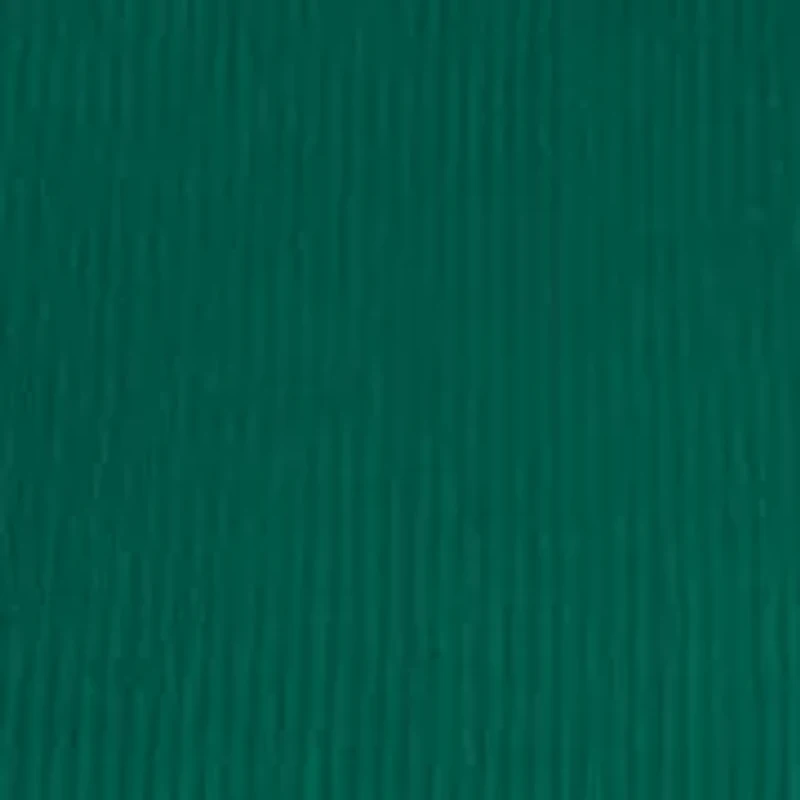 Women's Long Sleeve Crew Neck Solid T-Shirt