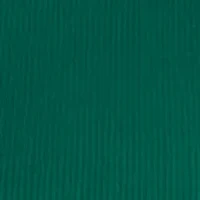 Women's Long Sleeve Crew Neck Solid T-Shirt