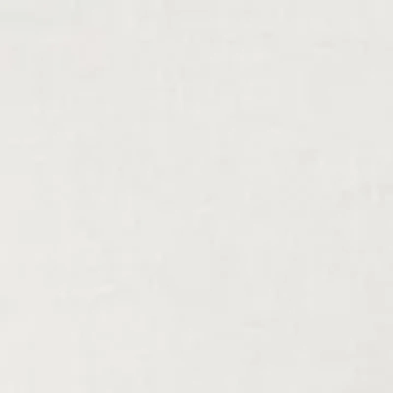 Women's Solid Ruffle Sleeve T-Shirt