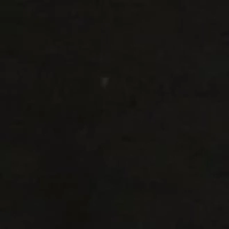 Petite 3/4 Sleeve Swing Polo Shirt