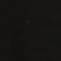 Petite 3/4 Sleeve Swing Polo Shirt