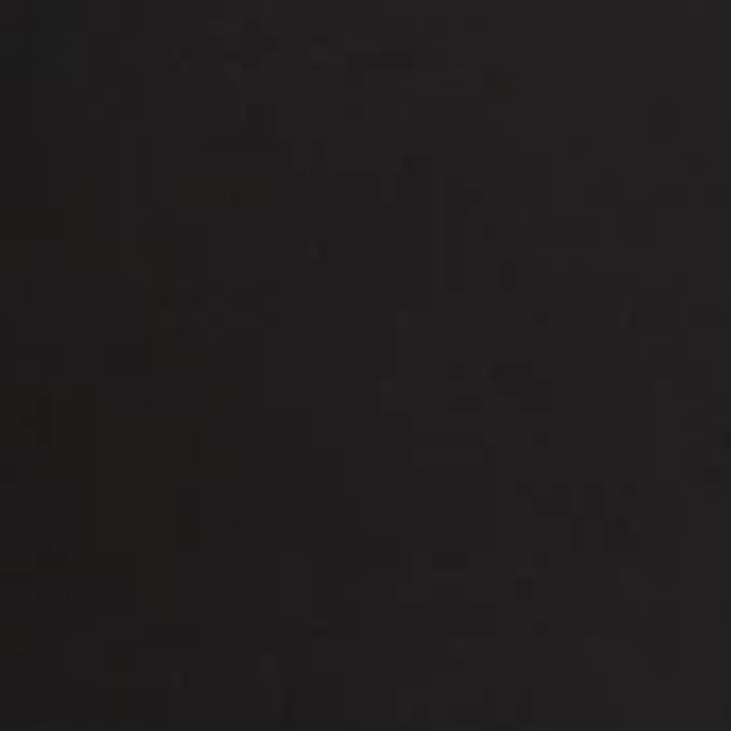 Petite Bermuda Pull On Shorts