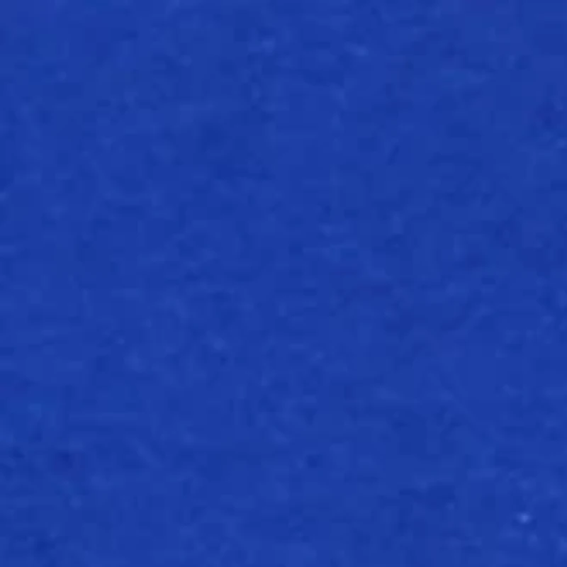 Petite Long Puff Sleeve Top