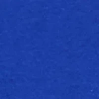 Petite Long Puff Sleeve Top