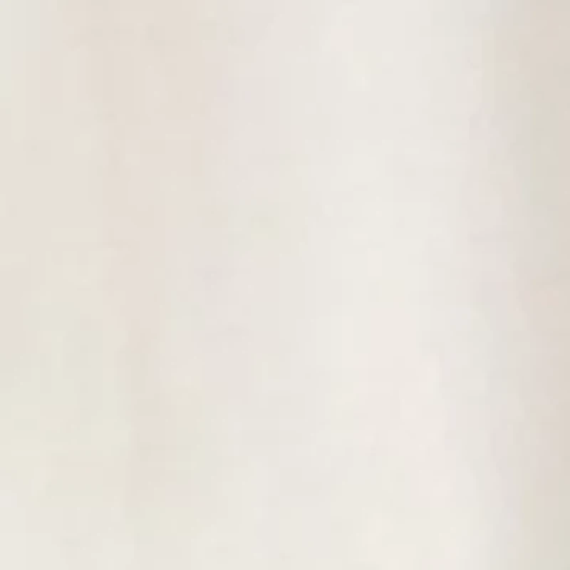 Petite Short Sleeve Ruffle T-Shirt