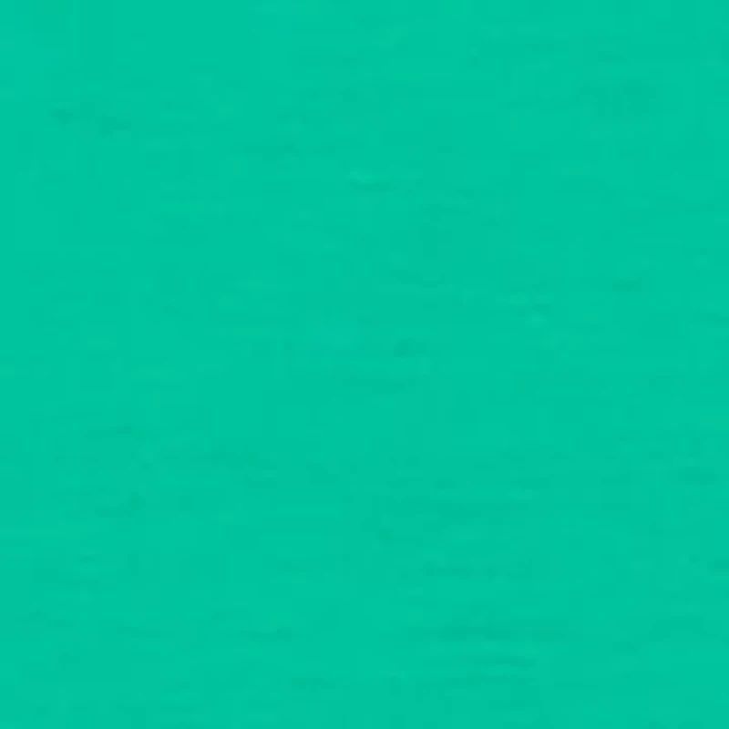 Plus Dolman Sleeve Tunic Top