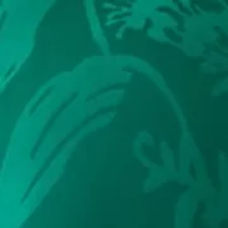 Plus Shirred Jacquard Top