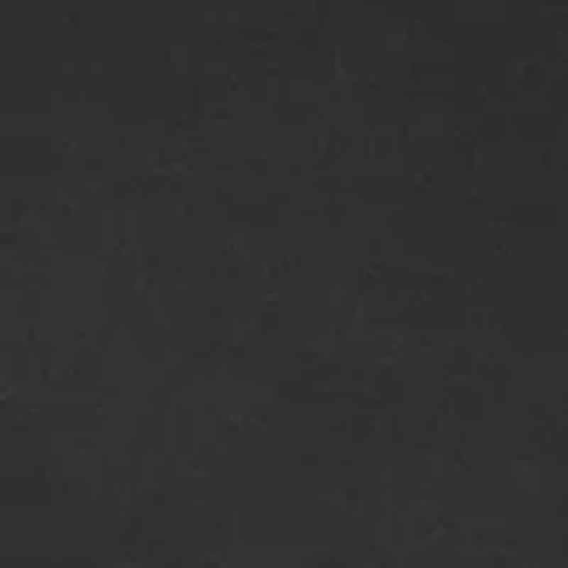 Women's Highline Scuba Cargo Pants