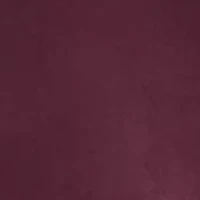 Women's Velour Mid Rise Track Pants with Mini Rhinestone Logo