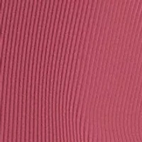 Women's Hudson Rib High Neck Meet and Greet Tank Top