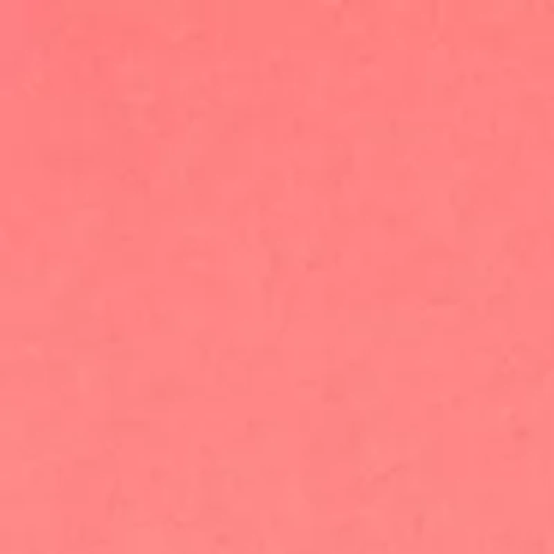 Solid Crew Neck Embroidered T-Shirt