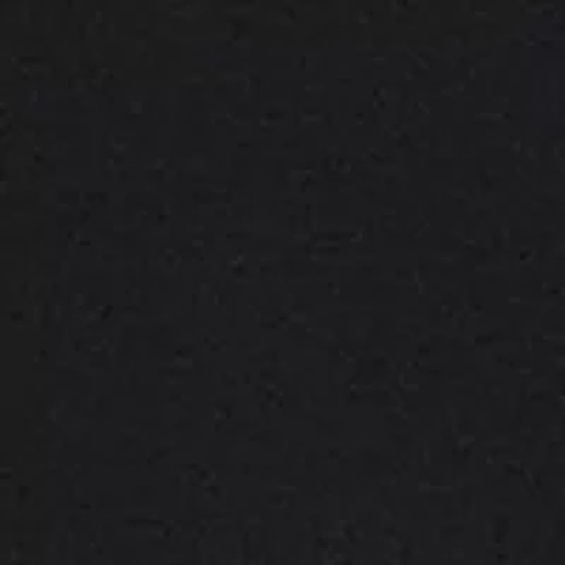 Solid V-Neck T-Shirt with Embroidered Logo