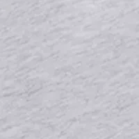 Solid V-Neck T-Shirt with Embroidered Logo