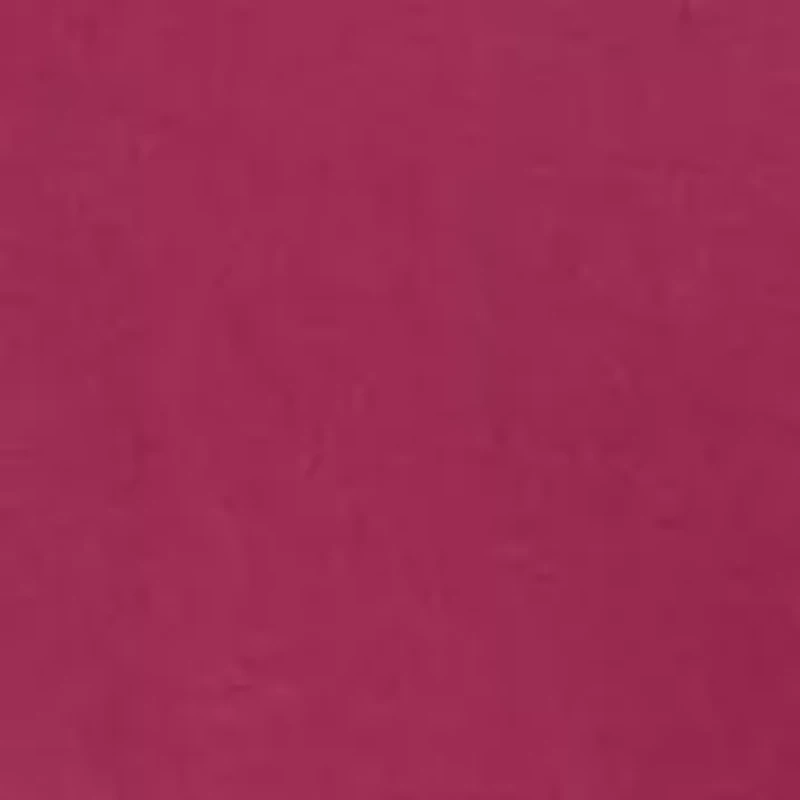 Solid V-Neck T-Shirt with Embroidered Logo