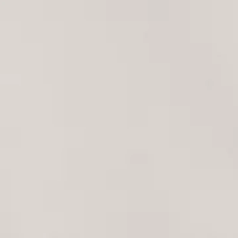 Women's Crew Neck Pullover Sweatshirt with Side Vents and HD Logo