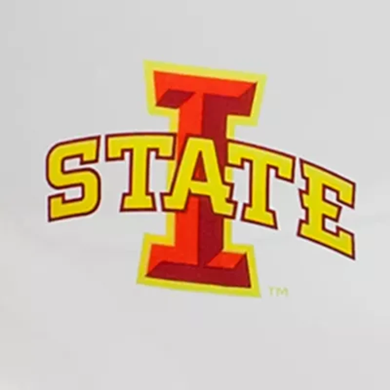 NCAA Iowa State University Carryall Tote