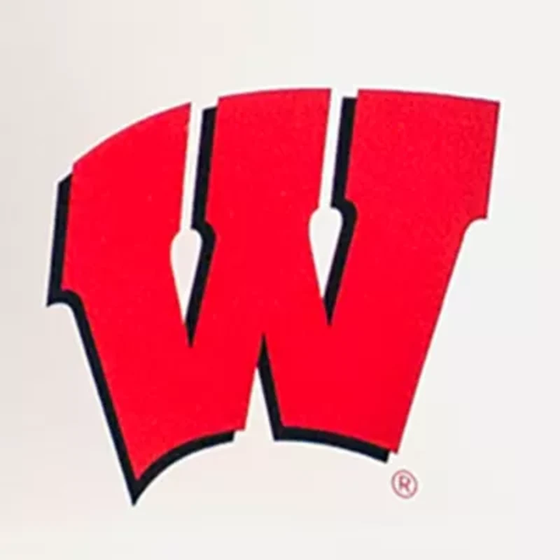 NCAA University of Wisconsin Carryall Tote
