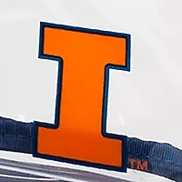 NCAA University of Illinois Large Crossbody
