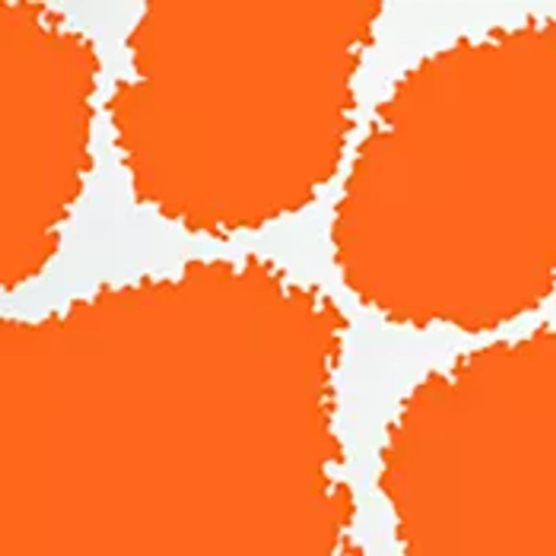 NCAA Clemson University Wristlet
