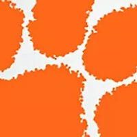 NCAA Clemson University Wristlet
