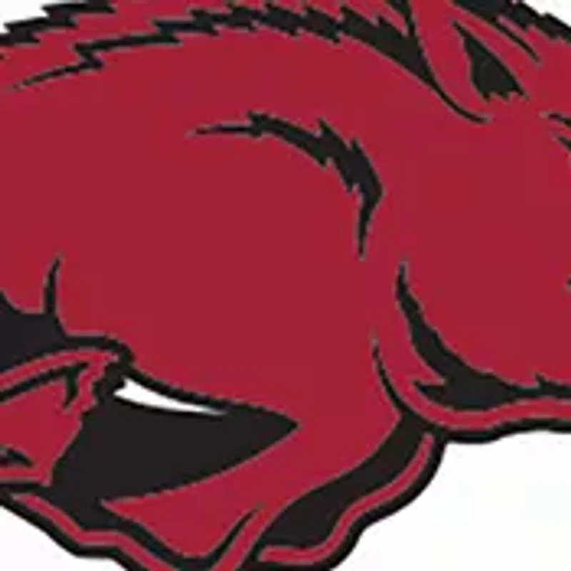 NCAA University of Arkansas, Fayetteville Wristlet