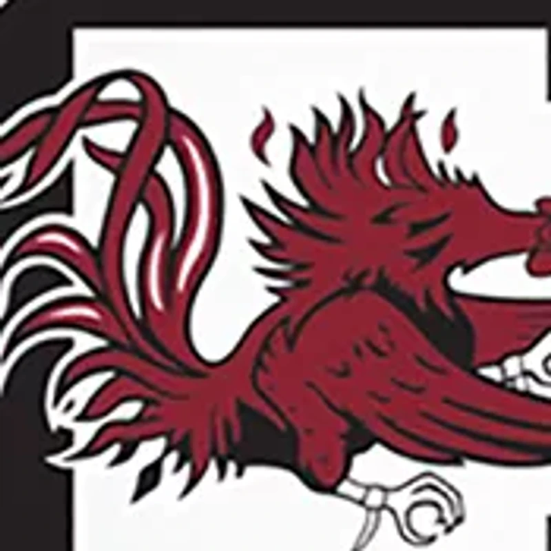 NCAA University of South Carolina Wristlet