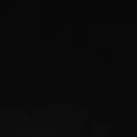 Petite Butter Millennium Pants