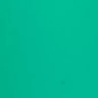 Petite Millennium Ruffle Hem Pants