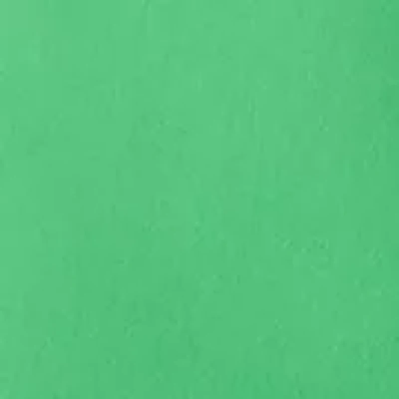 Petite Millennium Pants with Eyelet Hem