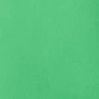 Petite Millennium Pants with Eyelet Hem