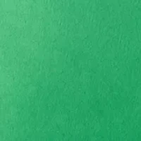 Women's Scalloped Shorts