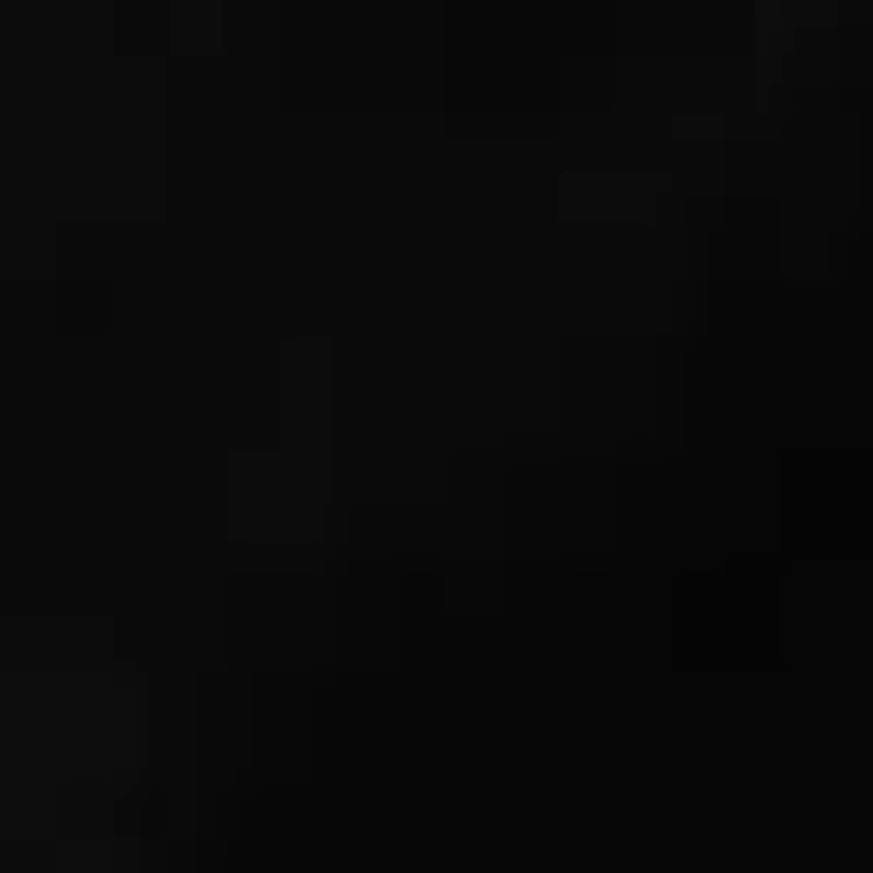 Petite Scallop Shorts