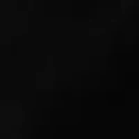 Petite Scallop Shorts