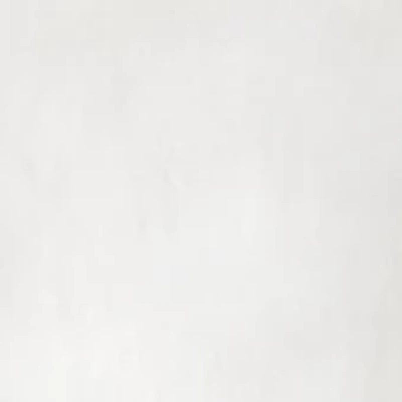 Petite Scallop Shorts