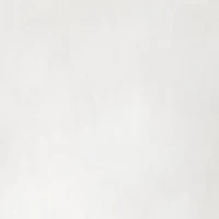 Petite Scallop Shorts