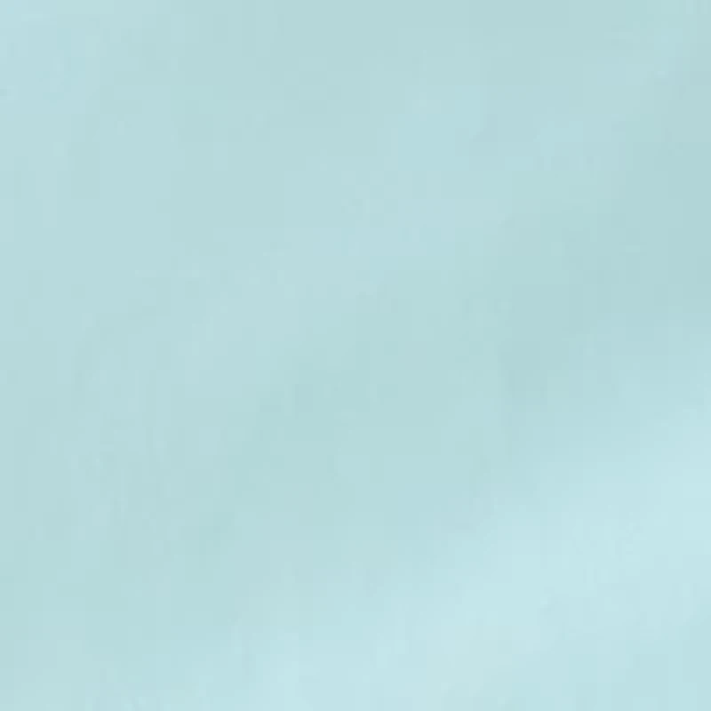 Petite Scallop Shorts