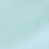 Petite Scallop Shorts