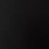 Petite Scallop Shorts