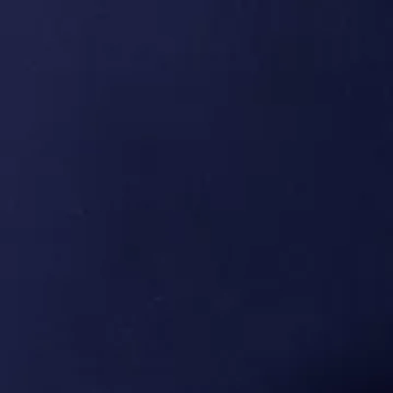 Petite Scallop Shorts