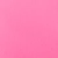 Petite Scallop Shorts