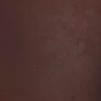 Plus Faux Leather Leggings