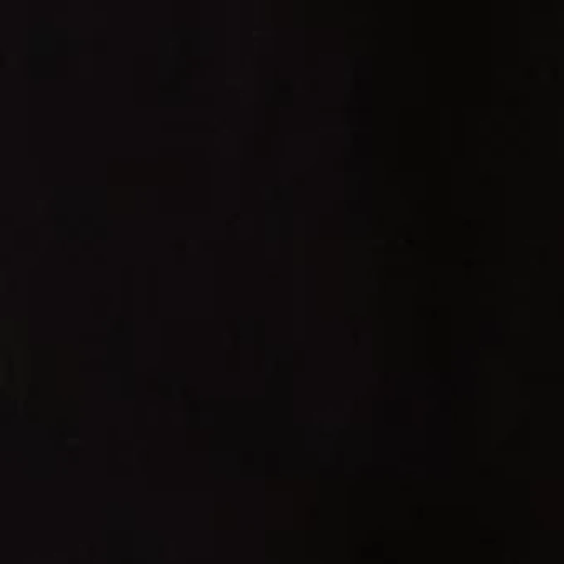 Women's Wide Leg Millennium Pants