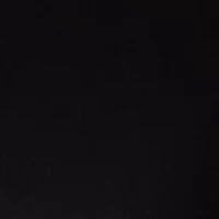 Petite Millennium Capri Pants