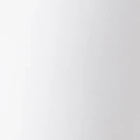 Petite Millennium Cropped Pants