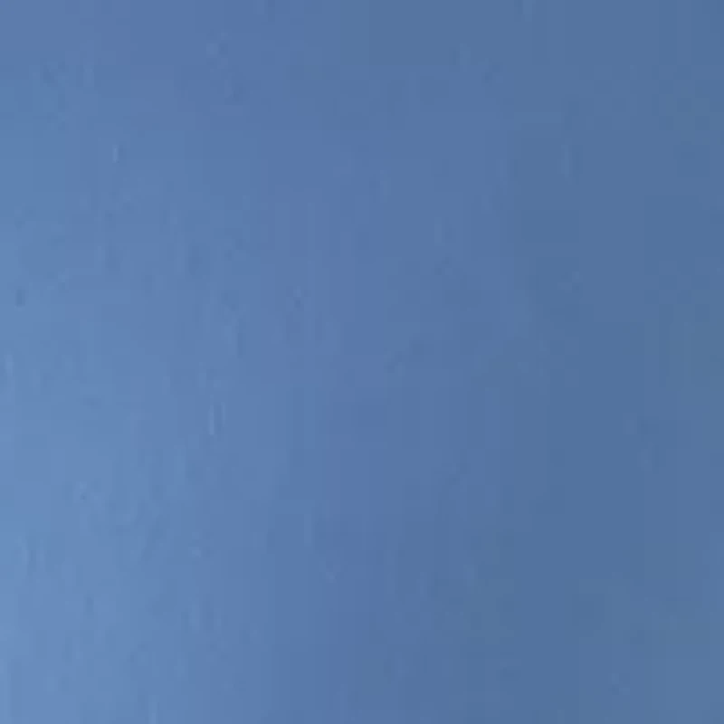 Plus Millennium Capri Pants