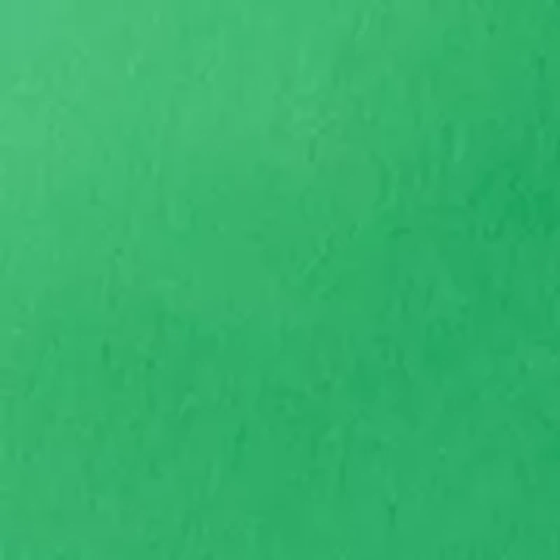 Women's Scalloped Trim Mill Skort