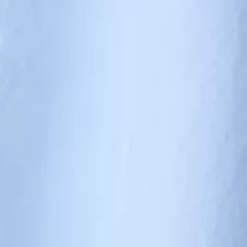 Women's Scallop Hem Midi Skirt